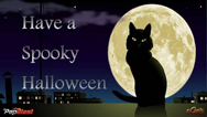 Halloween Cat